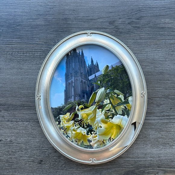 Green Tree Gallery Accents 8 X Round Picture Frame Silver Green